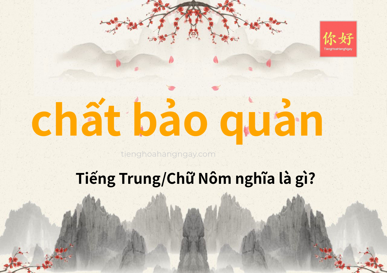 chất bảo quản tiếng Trung là gì?